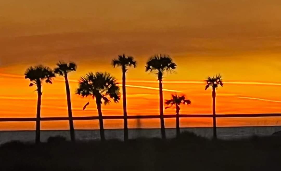 Shores Of Panama 2025 - 1 Bedroom Bunks Sleeps 6, Reserved Parking, Free Fun! Panama City Beach